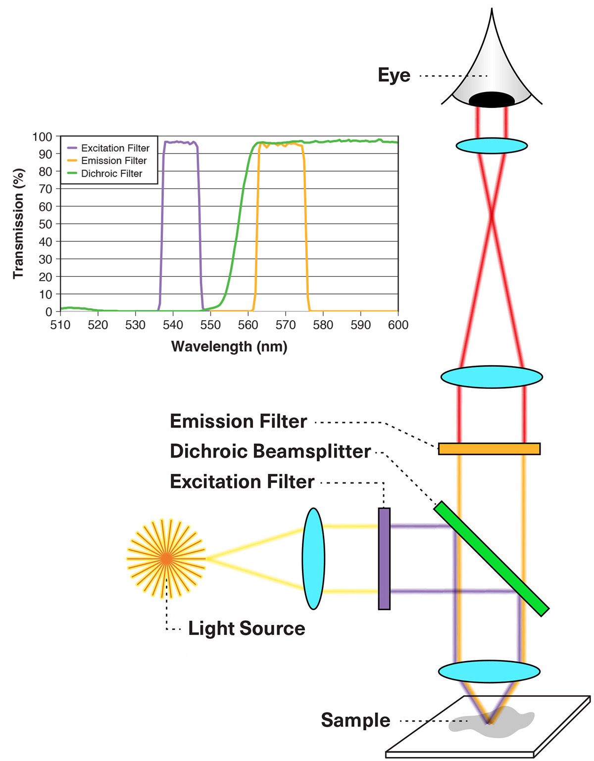 Cutting-Edge Coating Platforms: Delivering High-Performance Filters at Scale